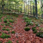 rutas-y-senderos-de-eugi-img6